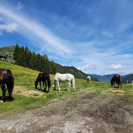 Lipphuette Top Lage Mit Traumhafter Aussicht Rauris Extérieur photo
