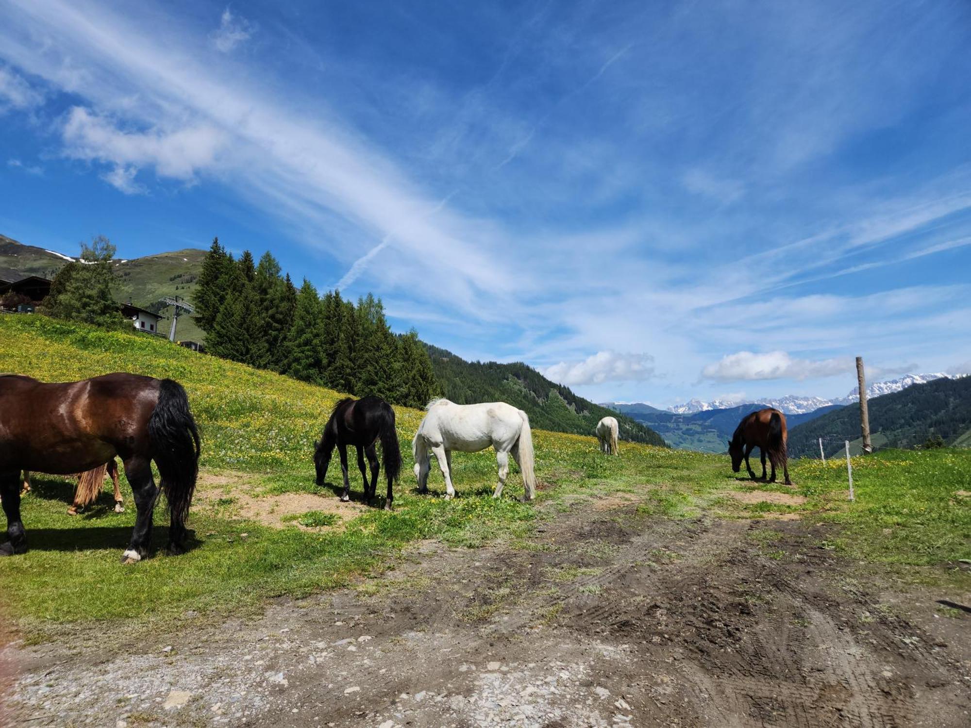 Lipphuette Top Lage Mit Traumhafter Aussicht Rauris Extérieur photo